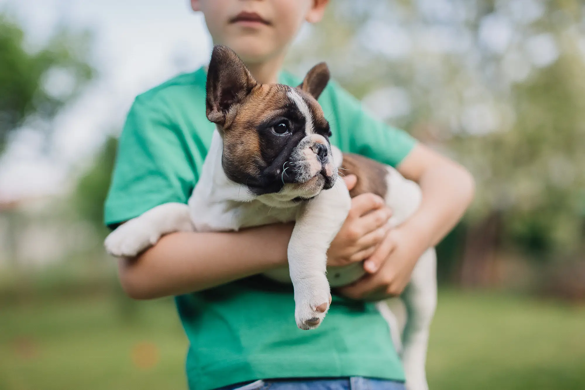Boy holding a dog